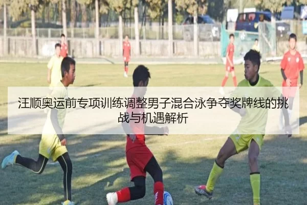 汪顺奥运前专项训练调整男子混合泳争夺奖牌线的挑战与机遇解析